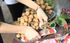 Người Hà Nội đội mưa đi chùa cầu bình an dịp lễ Vu Lan