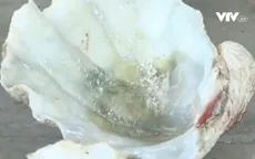 Trung Quốc bắt lượng hàng buôn lậu quy mô lớn