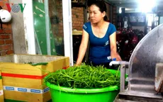 TP.HCM tiếp tục phát hiện cơ sở ngâm rau muống bào với hóa chất