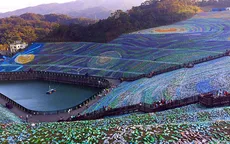 4 triệu chai nhựa phế liệu được dựng thành tranh Van Gogh