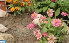 "Hô biến" bãi rác thành… vườn hoa