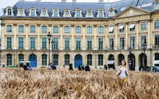 Cánh đồng lúa mì giữa thủ đô Paris hoa lệ