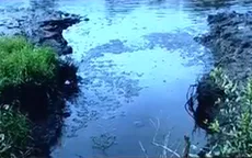 Phạt 332 triệu đồng doanh nghiệp gây ô nhiễm ở Cà Mau