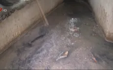 Bắt nhiều cơ sở hải sản xả thải ra môi trường tại Bà Rịa - Vũng Tàu