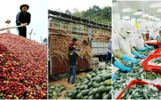 Gian nan hành trình đòi tiền của DN bị lừa đảo xuất khẩu