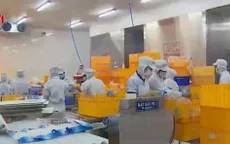 VASEP khẳng định hải sản xuất khẩu an toàn