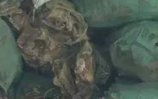 Bắt vụ buôn 6 tấn xương động vật bốc mùi hôi thối tại Nghệ An