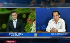 Có khả năng virus Zika đã xâm nhập vào Việt Nam