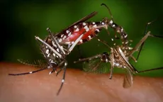 Chồng thai phụ nhiễm virus Zika ở Bình Dương có triệu chứng tương tự