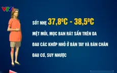Cách phòng virus Zika khi mang thai