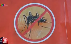 Singapore xem xét lại quy định cách ly bệnh nhân nghi nhiễm Zika