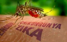 Indonesia lo ngại virus Zika lây lan