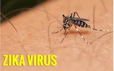 WHO hỗ trợ Việt Nam phòng chống virus Zika