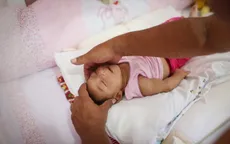 Chính phủ Brazil thừa nhận bất lực trong việc đối phó virus Zika