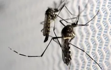 Brazil khẳng định Zika không ảnh hưởng tới Olympic 2016