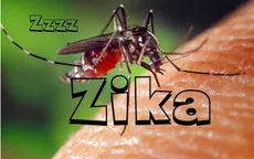 Kêu gọi hội nghị khu vực Mỹ La tinh nhằm đối phó virus Zika
