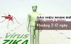 Dấu hiệu nhận biết nhiễm virus Zika