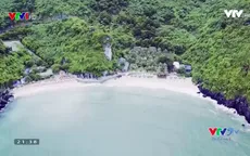 VTVTrip: Cát Bà - Viên ngọc xanh giữa Vịnh Bắc Bộ