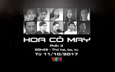 Hồ Ngọc Hà không đóng Hoa cỏ may phần 3: Lý do không chỉ vì cát-xê