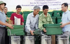 Người dân vùng lũ Hà Tĩnh được tặng 250 đàn ong giống