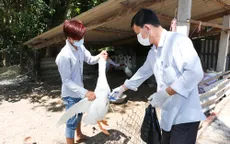 Bến Tre đồng loạt tiêm phòng dịch cúm gia cầm