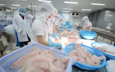 Việt Nam đã chủ động về giá xuất khẩu cá tra