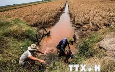 Khoa học công nghệ phát triển ĐBSCL cần đi sâu vào đời sống