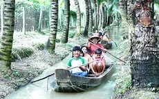 Trải nghiệm thú vị tại vườn dừa ở cù lao Tân Lộc, Cần Thơ