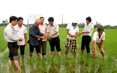 Sóc Trăng giúp Đảng viên thoát nghèo