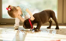 Nên cho trẻ nhỏ ăn thực phẩm… rơi xuống sàn