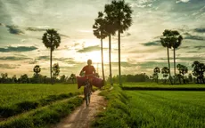 Lạc vào xứ sở thốt nốt An Giang