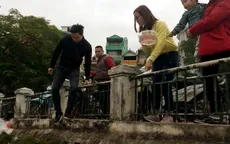 Nhiều người nhầm lẫn giữa việc thả cá tiễn ông Táo và việc phóng sinh