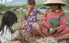 Lâm Đồng: Đầu tư ổn định đời sống cho dân di cư tại Tiểu khu 179