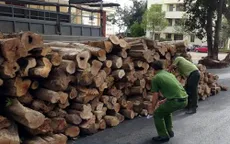 Đăk Lăk bắt giữ xe tải chở hơn 10m3 gỗ lậu