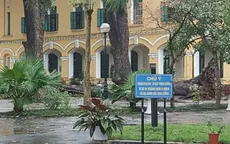 Cây xà cừ đổ giữa sân trường THPT Chu Văn An khiến 4 học sinh bị thương