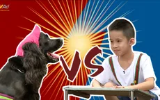 Cháu ơi, cháu à: Bà cháu NS Hương Dung trượt giải vì chú cún bướng bỉnh