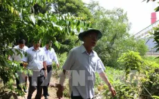 Bí thư Tỉnh ủy Hậu Giang kiểm tra khu vực Nhà máy giấy Lee&Man