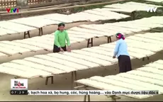 Miến dong Bình Liêu gặp khó vì thiếu thốn nguyên liệu sản xuất