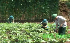 Giao nhầm 12ha đất quốc phòng tại Đăk Nông