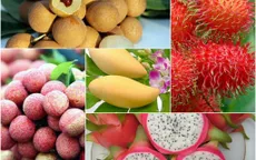 Trái cây - Ngôi sao sáng trong cuộc đua xuất khẩu