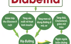 Sự thật về chỉ số GI của thực phẩm: Người đái tháo đường nên biết