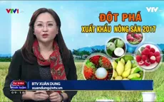 Ngành xuất khẩu nông sản làm thế nào để có một năm 2017 bứt phá ngoạn mục?