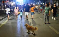 Ngày đầu ra quân xử phạt hành chính hành vi chó không rọ mõm ở TP.HCM
