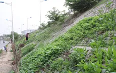 Muôn kiểu trồng rau “không đụng hàng” của "nông dân phố"