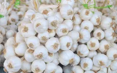 Công bố top 10 đặc sản quà tặng nổi tiếng Việt Nam