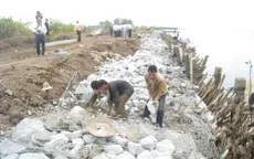 Cà Mau đẩy nhanh tiến độ khắc phục sạt lở đê biển Tây