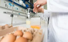 EU sẽ xem xét vụ bê bối trứng gà "bẩn" vào đầu tháng 9
