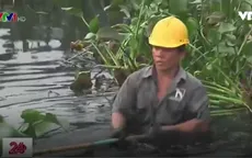 Rạch Cầu Suối lại bị bức tử