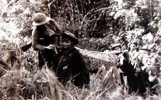 Hôm nay (15/7), Ngày truyền thống thanh niên xung phong