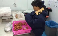 Lô vải thiều đầu tiên sang Thái Lan sẽ được "xuất ngoại" vào cuối tháng 6